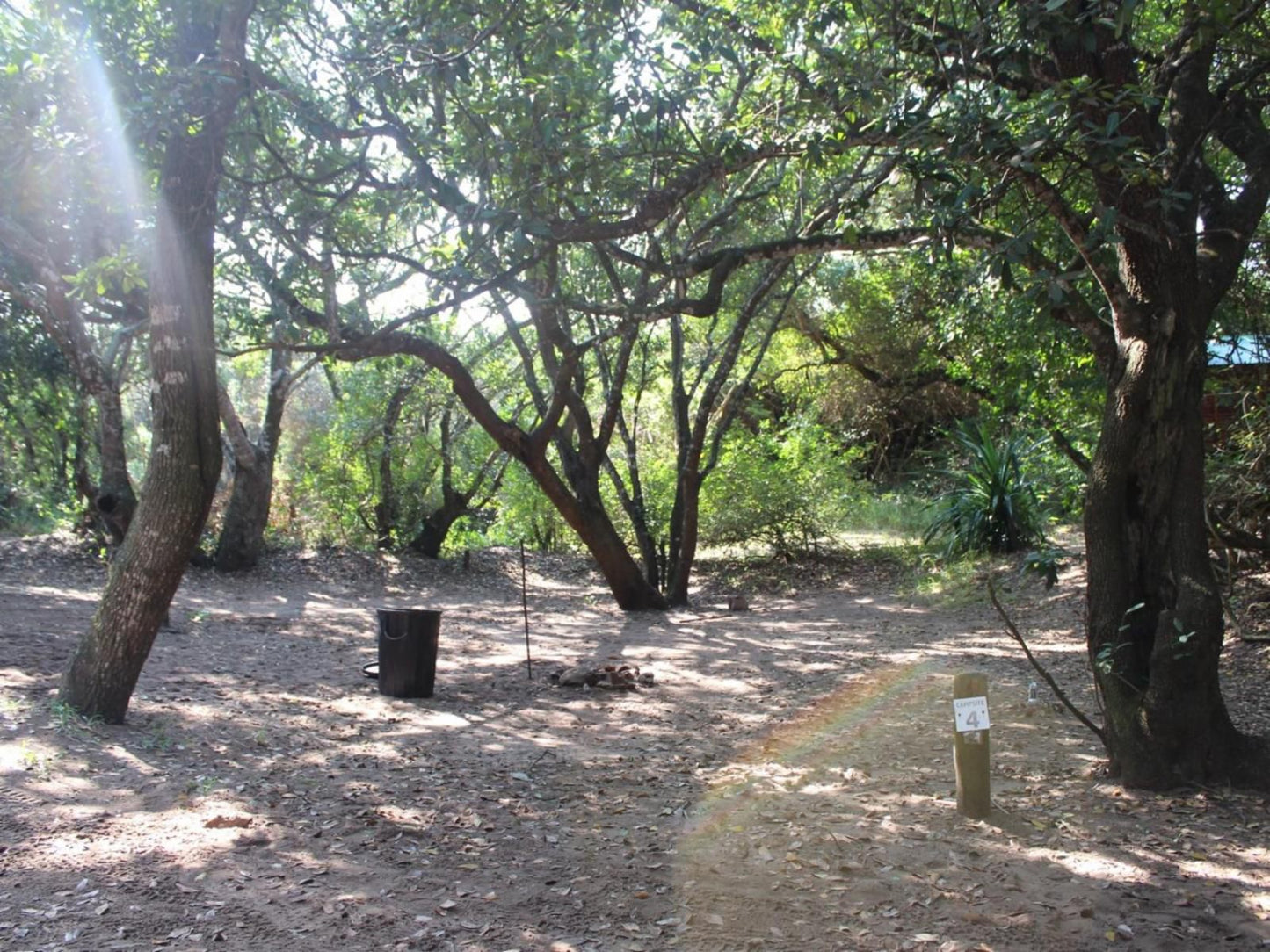 Malongane Beach Resort, Tents on Deck TD6, Forest, Nature, Plant, Tree, Wood