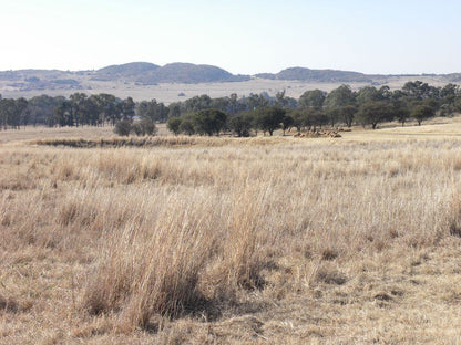 Malonjeni Guest Farm Heidelberg Gauteng South Africa Field, Nature, Agriculture, Lowland