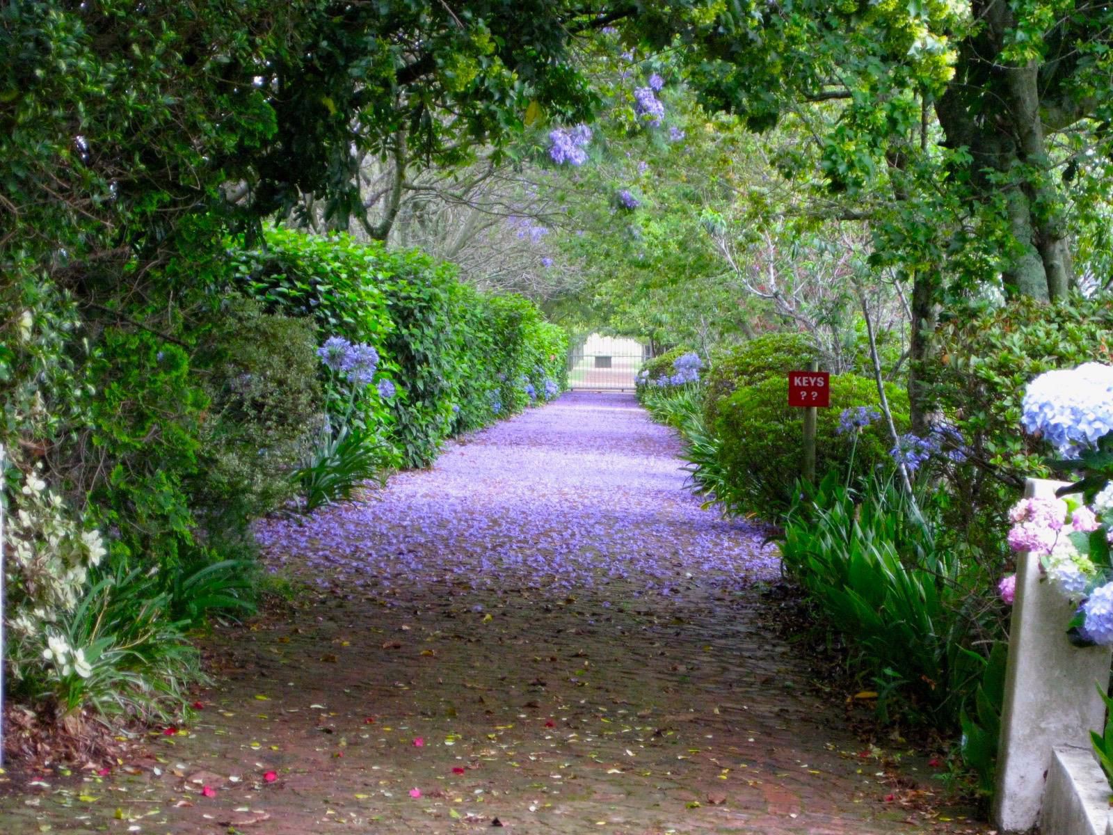 Malvern Manor Country Guest House, Plant, Nature, Garden