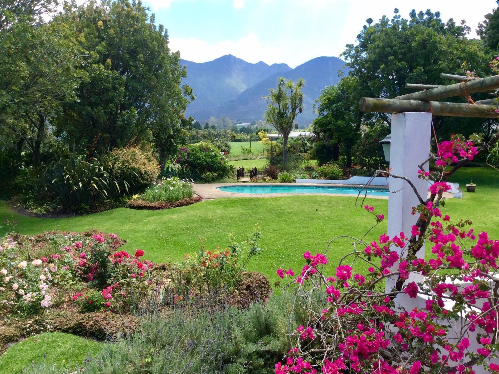 Malvern Manor Country Guest House, Plant, Nature, Garden, Swimming Pool