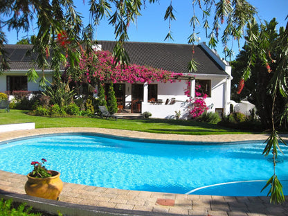 Malvern Manor Country Guesthouse Fancourt George Western Cape South Africa Complementary Colors, House, Building, Architecture, Palm Tree, Plant, Nature, Wood, Garden, Swimming Pool