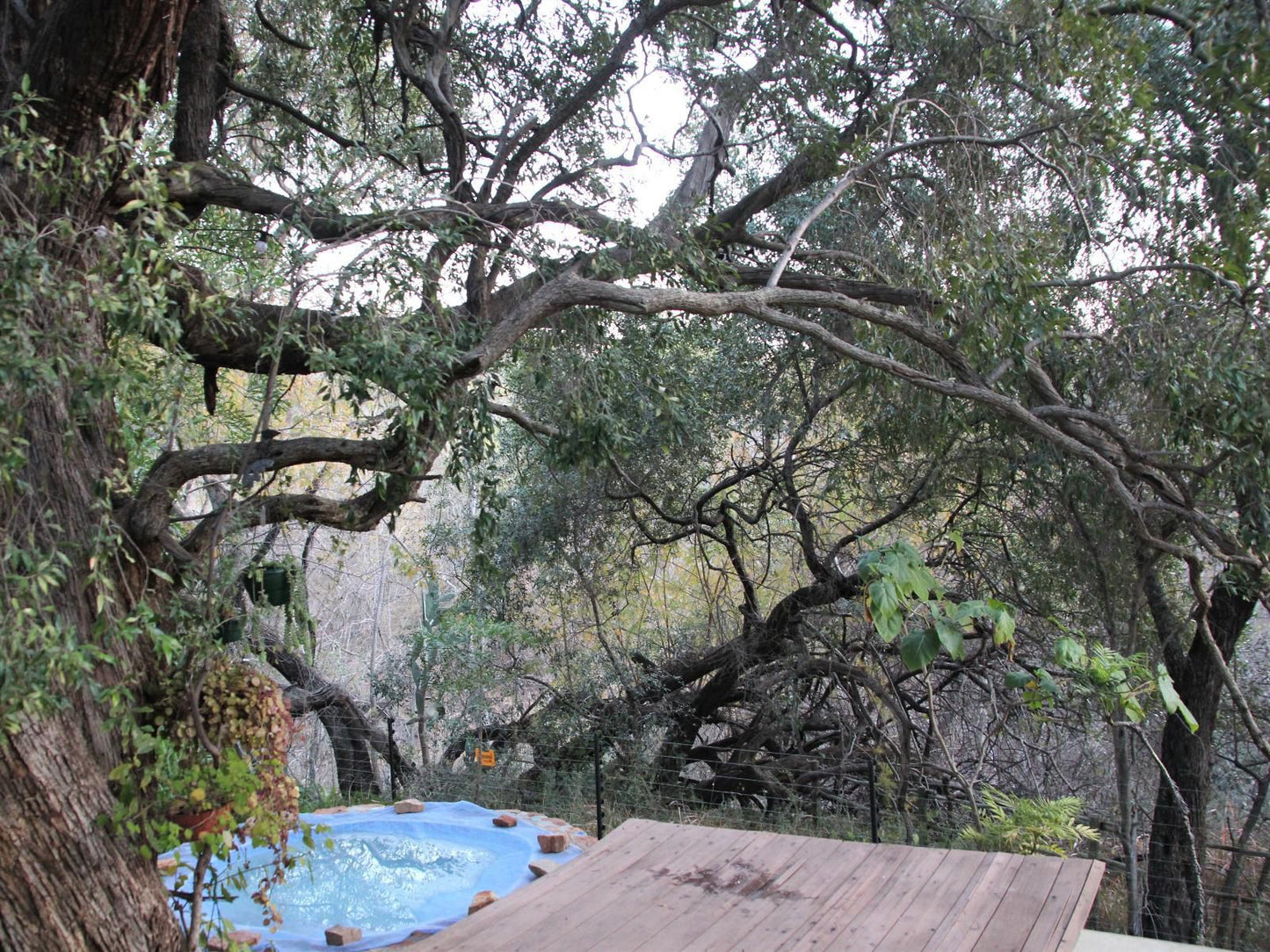 Mamagalie Mountain Lodge Buffelspoort North West Province South Africa Unsaturated, Tree, Plant, Nature, Wood