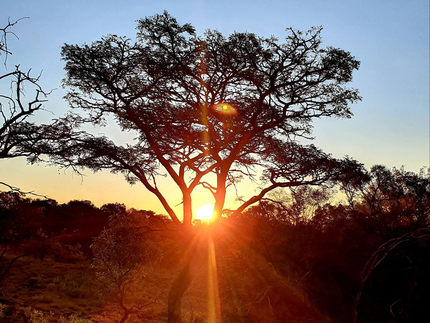 Mamagalie Mountain Lodge Buffelspoort North West Province South Africa Complementary Colors, Silhouette, Sky, Nature, Sunset