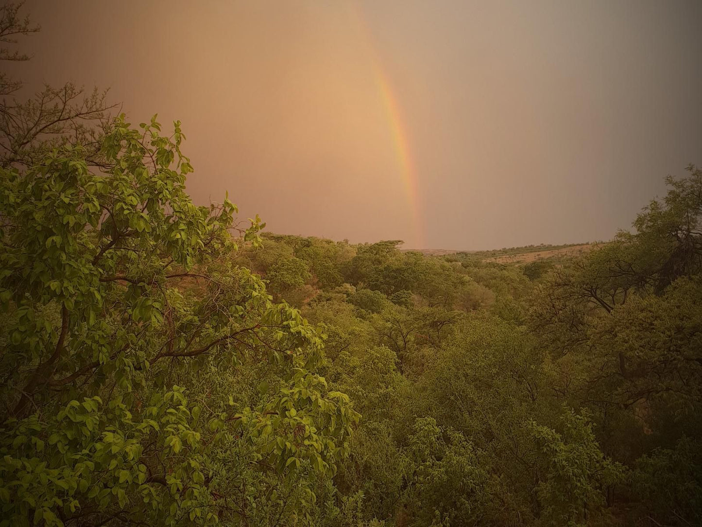 Mamagalie Mountain Lodge Buffelspoort North West Province South Africa Sepia Tones, Rainbow, Nature