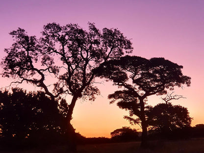 Mamagalie Mountain Lodge Buffelspoort North West Province South Africa Silhouette, Sky, Nature, Sunset