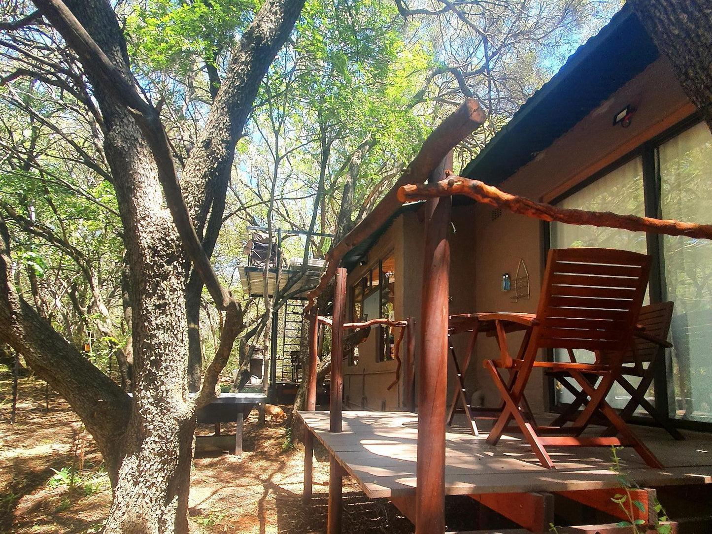 Forest Lodge @ Mamagalie Mountain Lodge