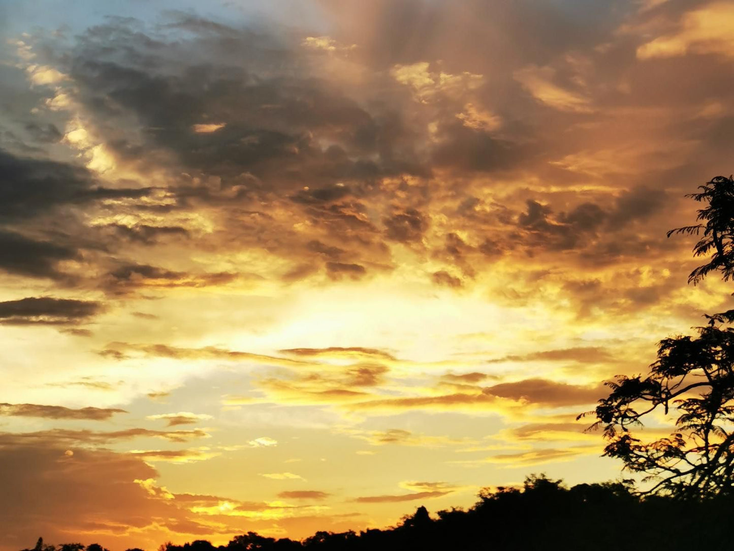 Mamma Mia Bandb Steiltes Nelspruit Mpumalanga South Africa Sky, Nature, Clouds, Sunset