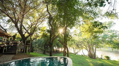 Mananga Wilderness Lodge Phalaborwa Limpopo Province South Africa Tree, Plant, Nature, Wood, Garden