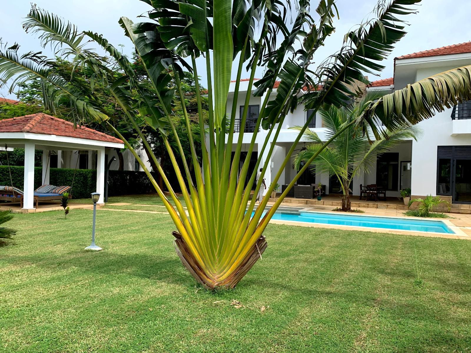 Mandharini Kilifi Mombasa Kilifi County Kenya House, Building, Architecture, Palm Tree, Plant, Nature, Wood