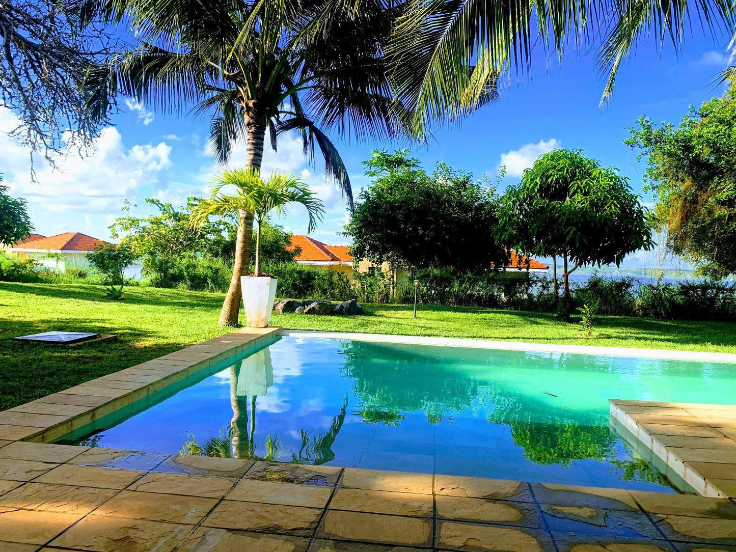 Mandharini Kilifi Mombasa Kilifi County Kenya Complementary Colors, Palm Tree, Plant, Nature, Wood, Swimming Pool