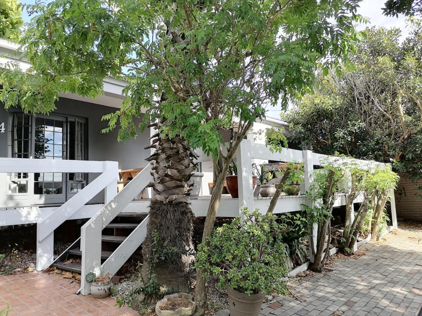 Mangold S Guesthouse Newton Park Port Elizabeth Eastern Cape South Africa House, Building, Architecture, Plant, Nature, Garden