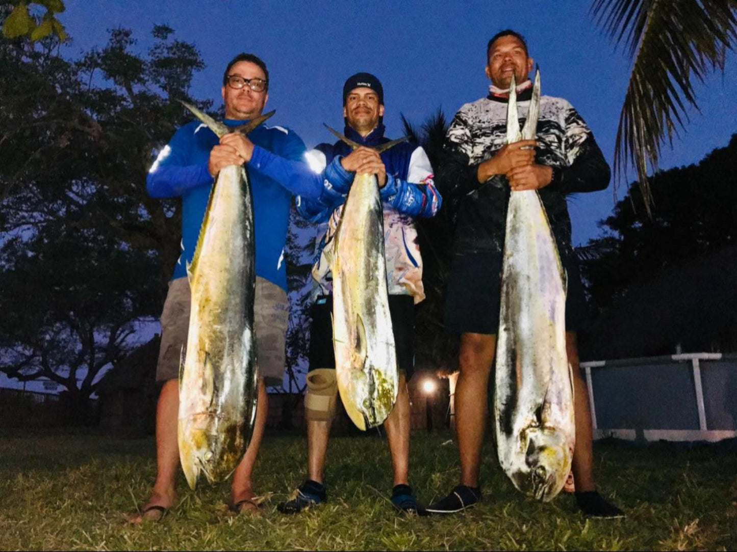 Manico Camp, Face, Person, Three Faces, Group, Fish, Marine Animal, Animal, Frontal Face, Male, Adult, Eyes Closed, Beard, Glasses, Eyes Open, Smile