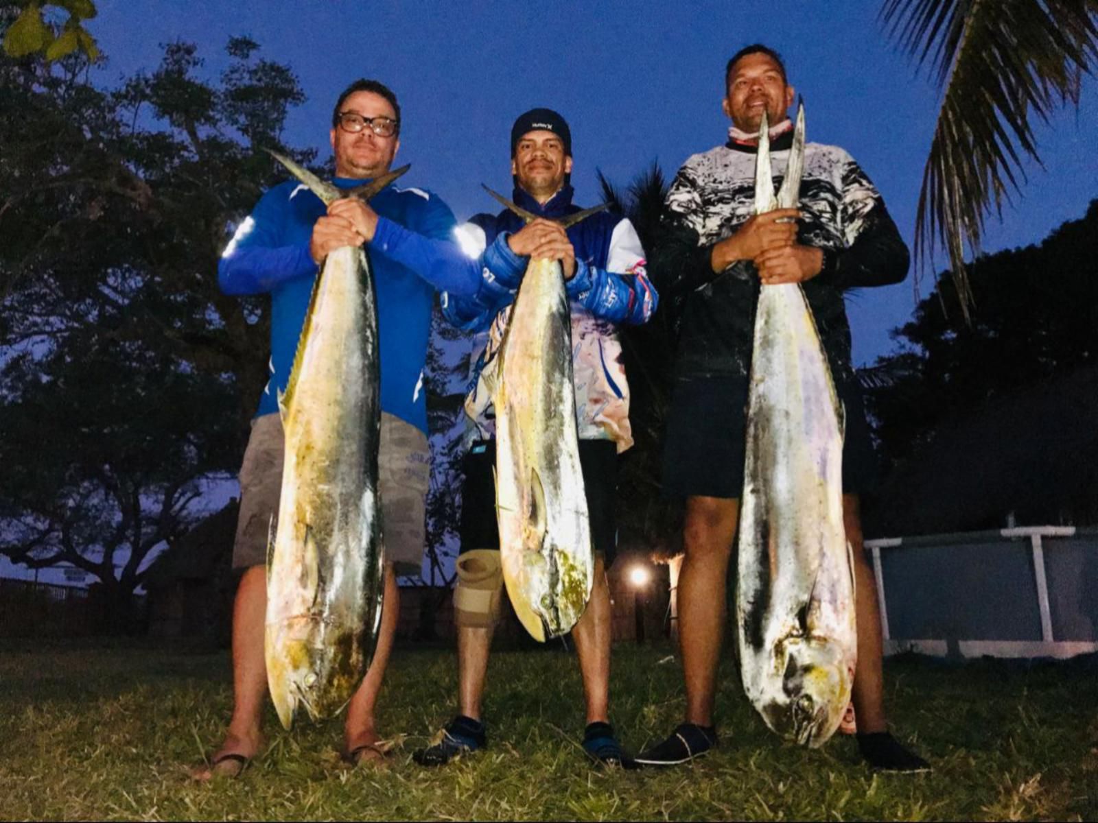 Manico Camp, Face, Person, Three Faces, Group, Fish, Marine Animal, Animal, Frontal Face, Male, Adult, Eyes Closed, Beard, Glasses, Eyes Open, Smile