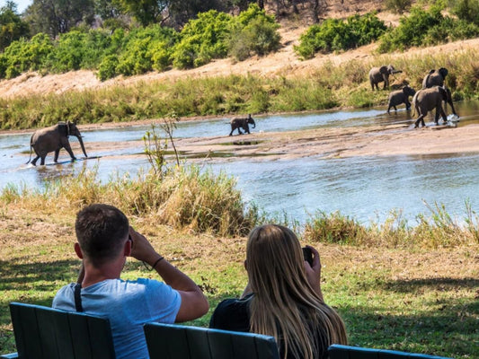 Maninghi Lodge, River, Nature, Waters, Animal, Person