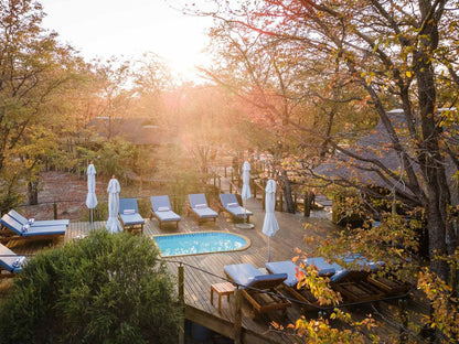 Mankwe Tented Retreat Moremi Wildlife Reserve North West Botswana Garden, Nature, Plant, Swimming Pool