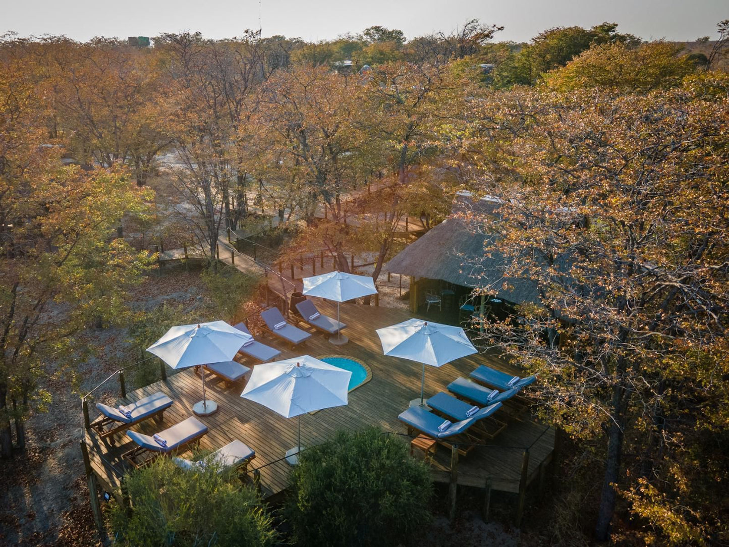 Mankwe Tented Retreat Moremi Wildlife Reserve North West Botswana 