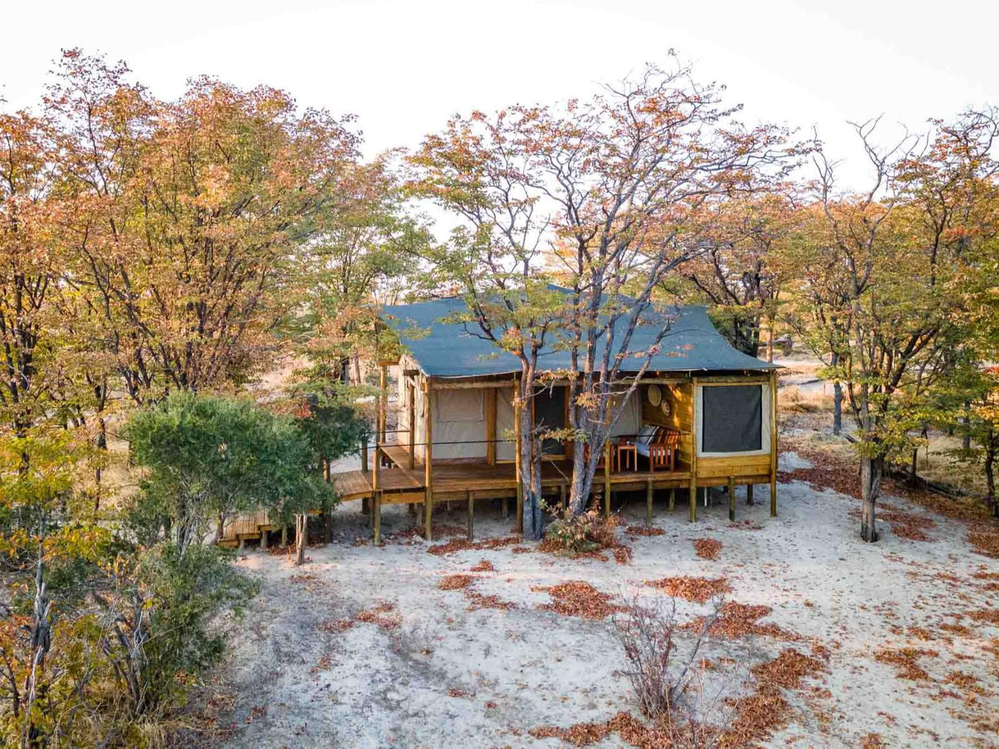 Mankwe Tented Retreat Moremi Wildlife Reserve North West Botswana Cabin, Building, Architecture, Tree, Plant, Nature, Wood, Autumn