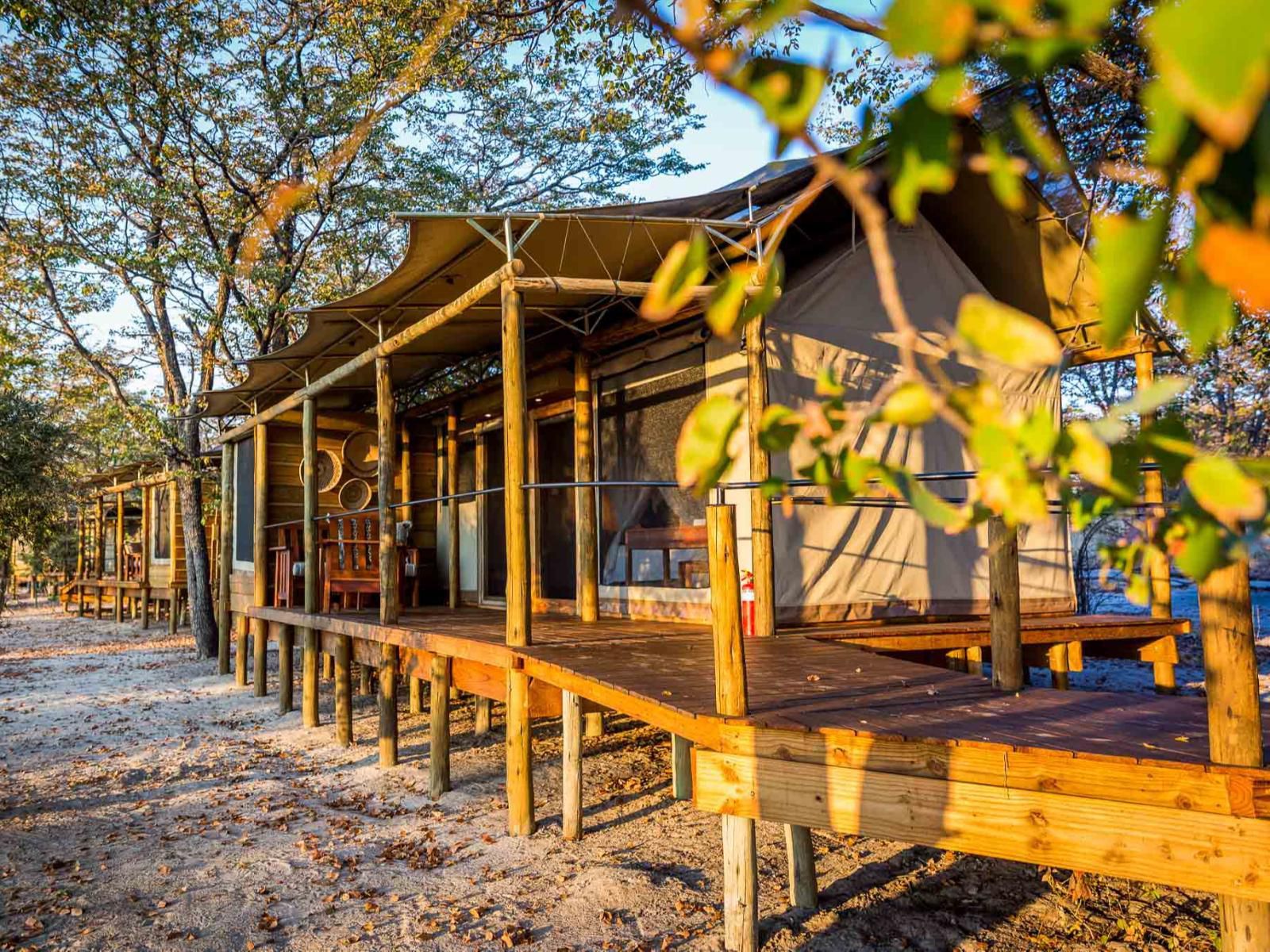 Mankwe Tented Retreat Moremi Wildlife Reserve North West Botswana Autumn, Nature