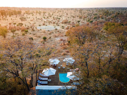 Mankwe Tented Retreat Moremi Wildlife Reserve North West Botswana Cactus, Plant, Nature