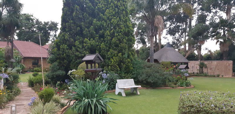 Mannah Executive Guest Lodge Pomona Johannesburg Gauteng South Africa Palm Tree, Plant, Nature, Wood, Garden