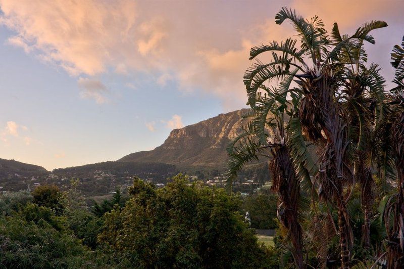 Manners Manor Hout Bay Cape Town Western Cape South Africa Nature