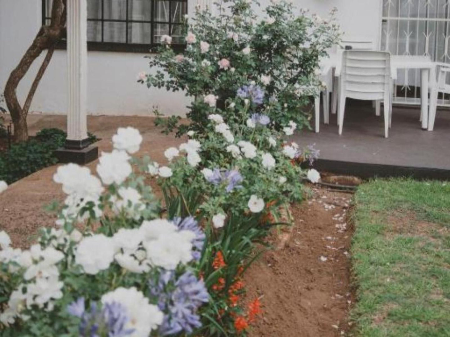 Manor Guest House Lydenburg Mpumalanga South Africa Flower, Plant, Nature, Garden