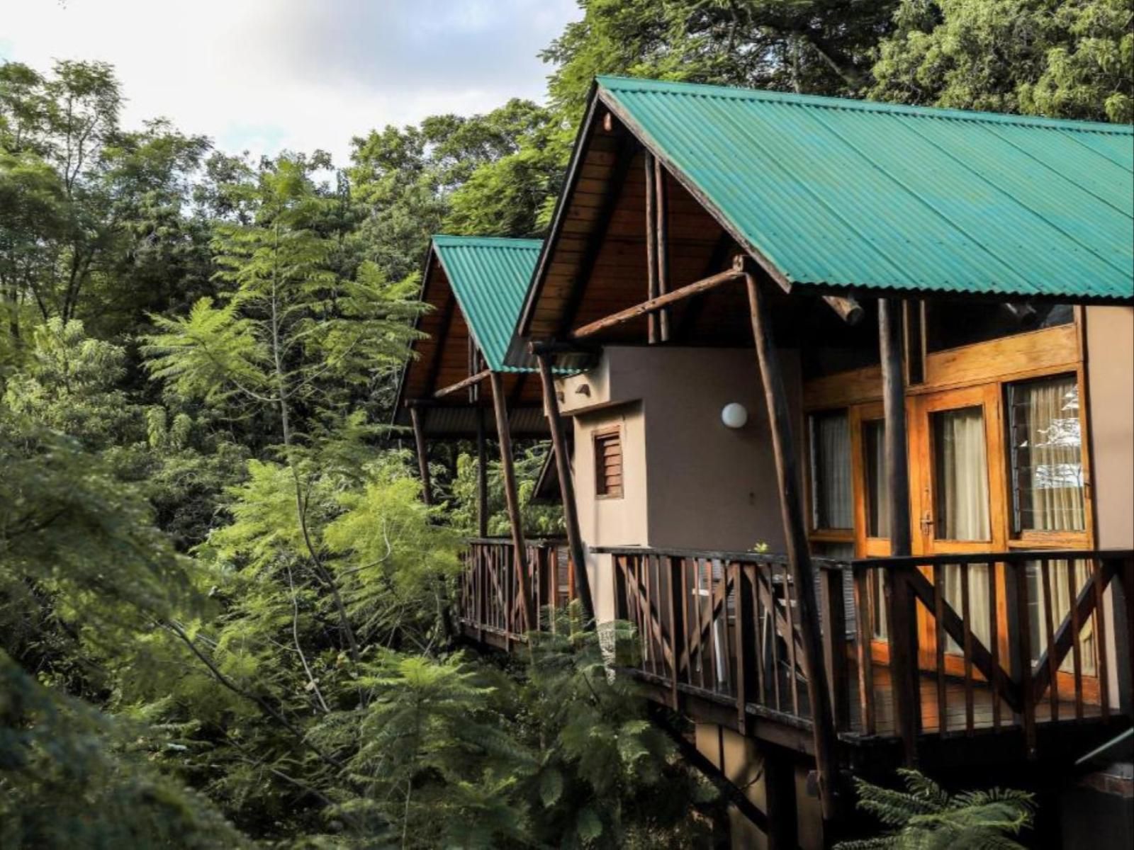 Mantenga Lodge, Forest, Nature, Plant, Tree, Wood