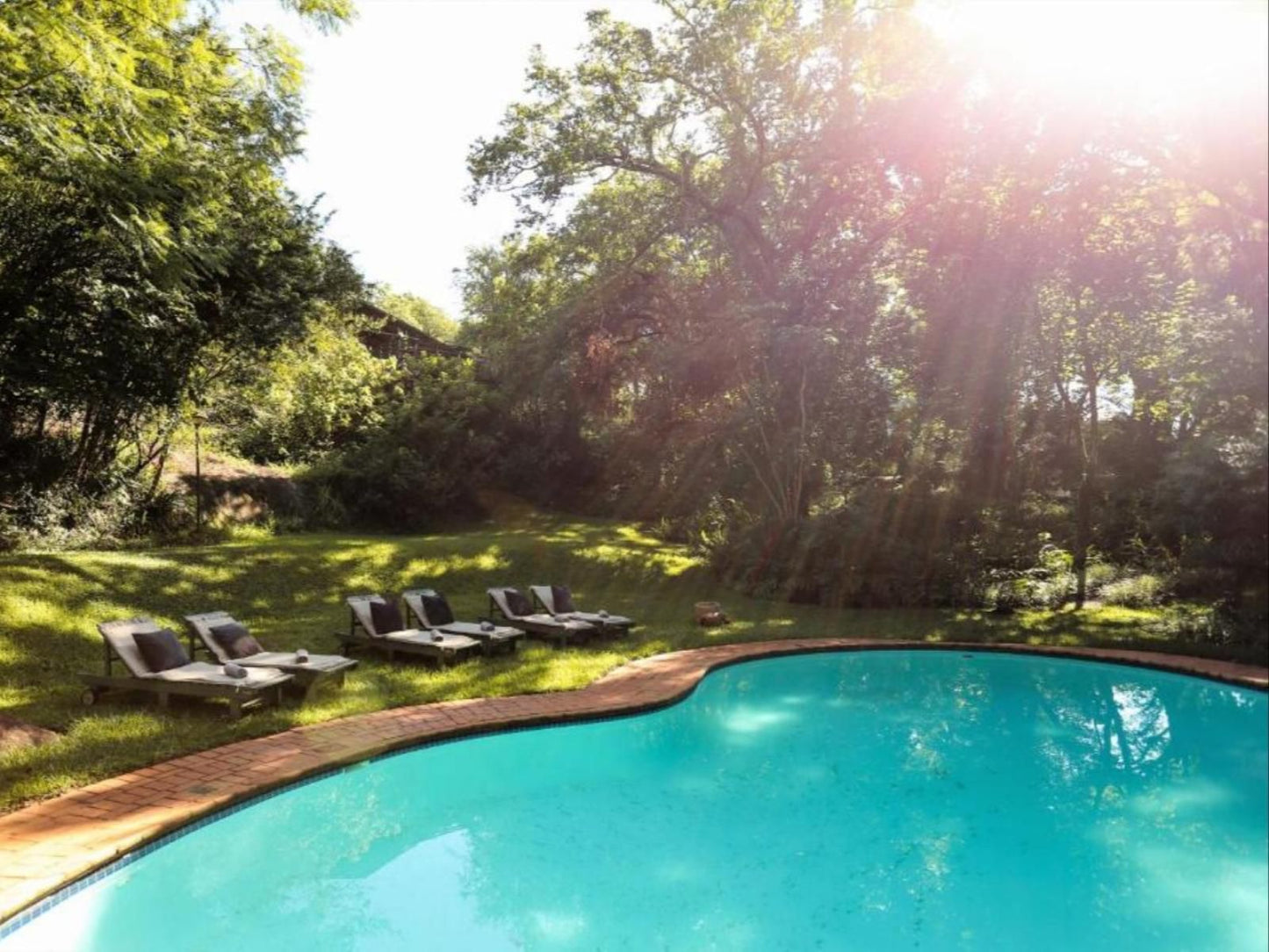 Mantenga Lodge, Garden, Nature, Plant, Swimming Pool