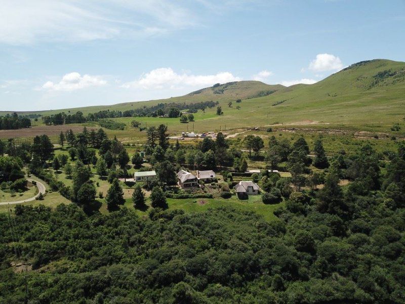 Manwood Lodge Mooi River Kwazulu Natal South Africa Complementary Colors, Mountain, Nature, Tree, Plant, Wood, Highland