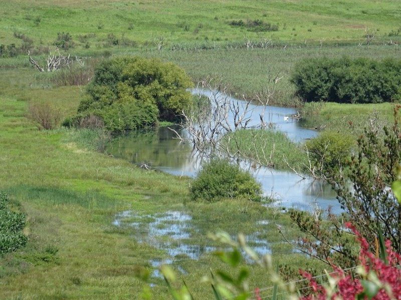 Manwood Lodge Mooi River Kwazulu Natal South Africa River, Nature, Waters