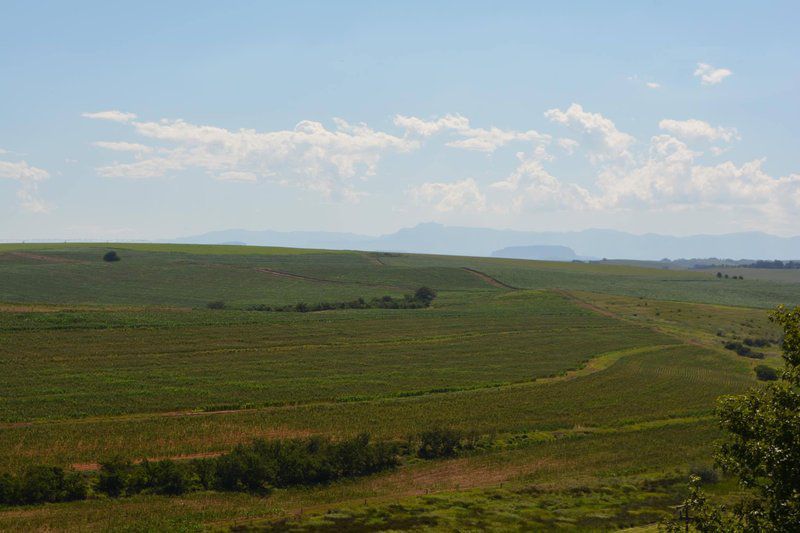 Manwood Lodge Mooi River Kwazulu Natal South Africa Complementary Colors, Field, Nature, Agriculture, Highland, Lowland