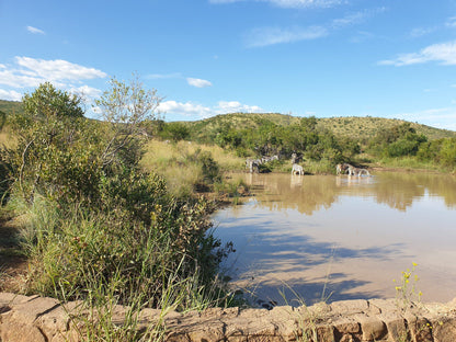 Manyane Resort Pilanesberg Game Reserve North West Province South Africa Complementary Colors, River, Nature, Waters
