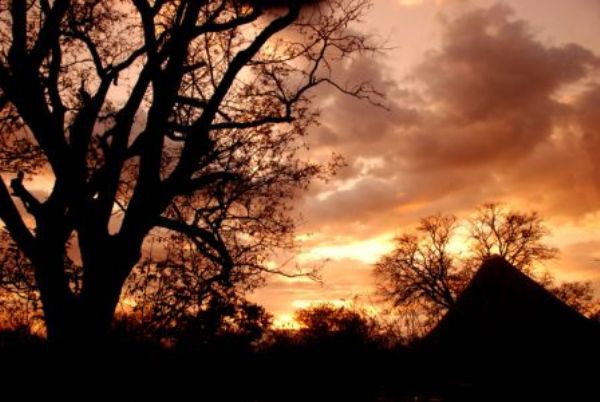 Manzini Swazi King Chalets Marloth Park Mpumalanga South Africa Silhouette, Sky, Nature, Sunset