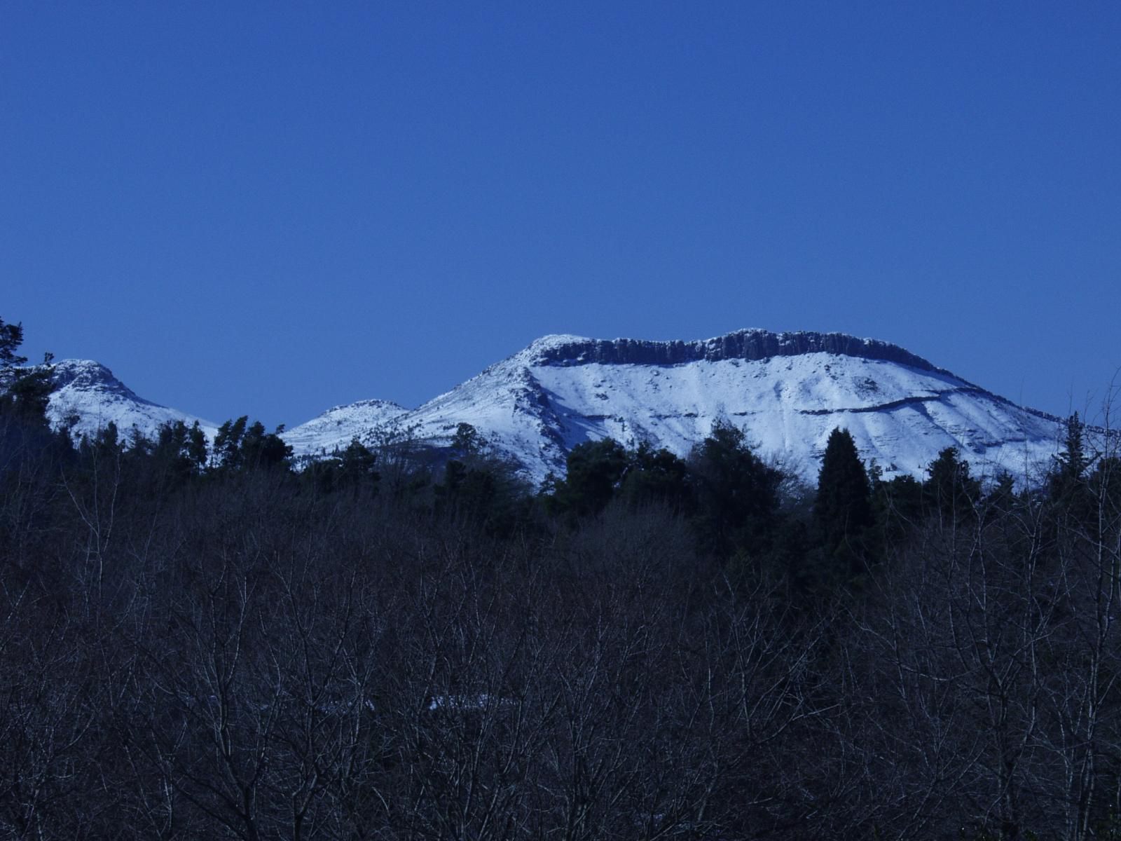 Maple Grove Hogsback Eastern Cape South Africa Mountain, Nature, Highland