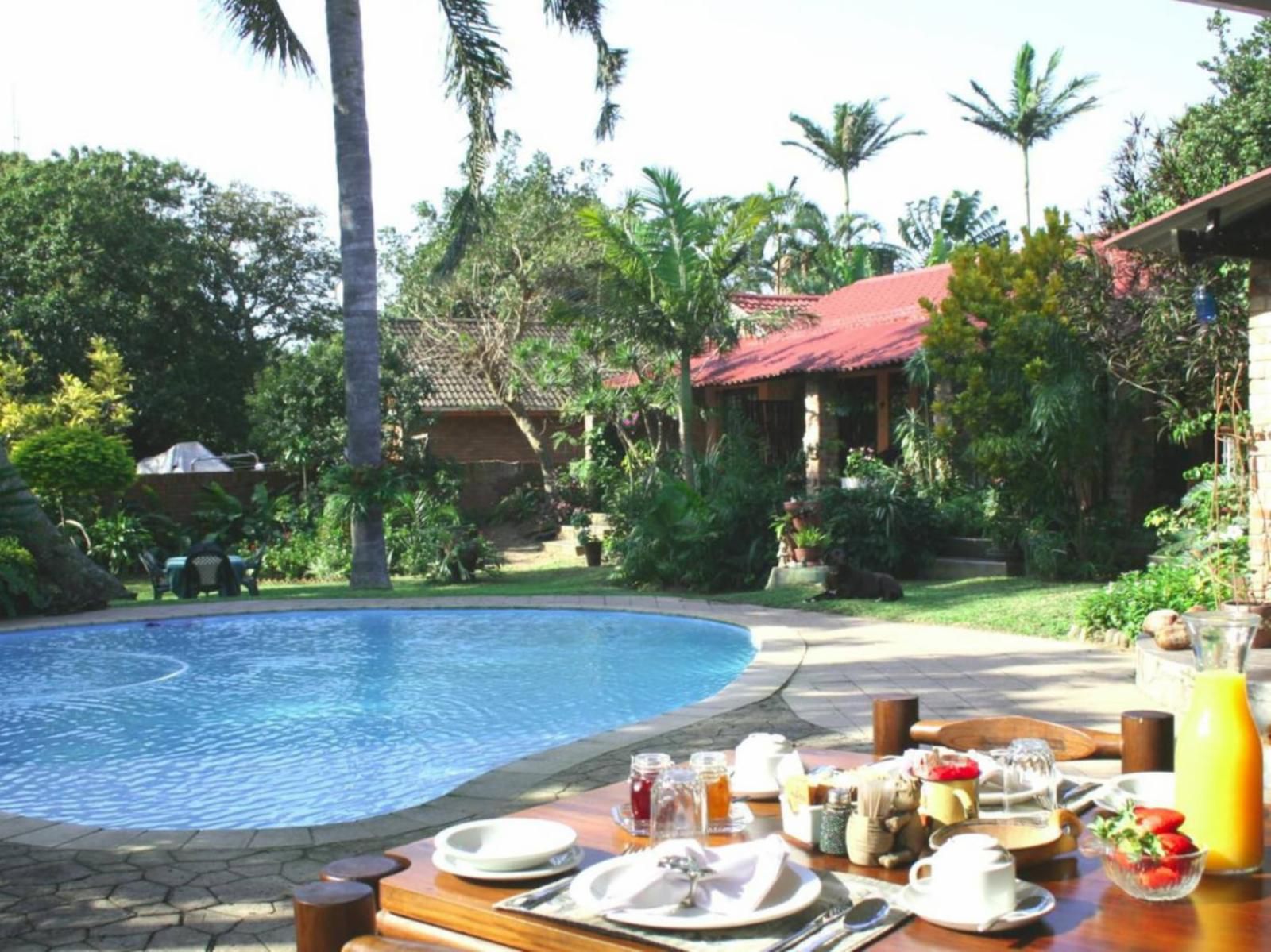 Maputaland Guest House St Lucia Kwazulu Natal South Africa Palm Tree, Plant, Nature, Wood, Swimming Pool