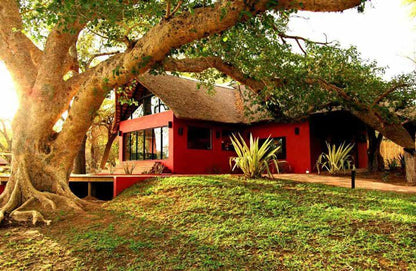 Marakapula Reserve Marakapula Reserve Limpopo Province South Africa Building, Architecture, House, Plant, Nature