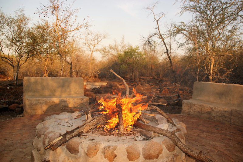 Maranze Marloth Marloth Park Mpumalanga South Africa Fire, Nature