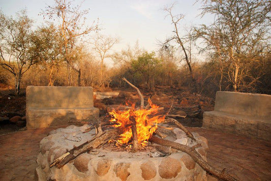 Maranze Marloth Marloth Park Mpumalanga South Africa Fire, Nature