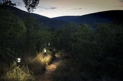 Marataba Mountain Lodge Marakele National Park Limpopo Province South Africa Forest, Nature, Plant, Tree, Wood