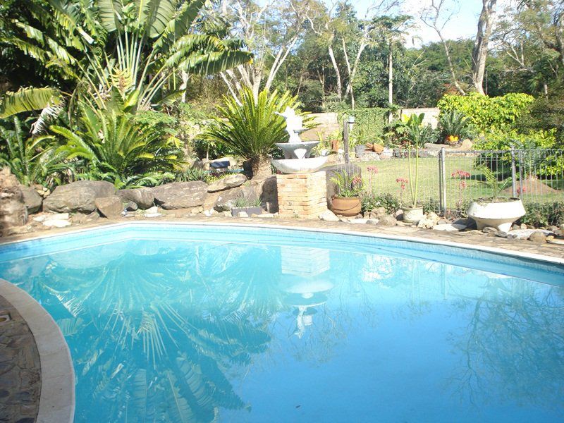 Marche Private Hotel Kwambonambi Kwazulu Natal South Africa Complementary Colors, Palm Tree, Plant, Nature, Wood, Garden, Swimming Pool