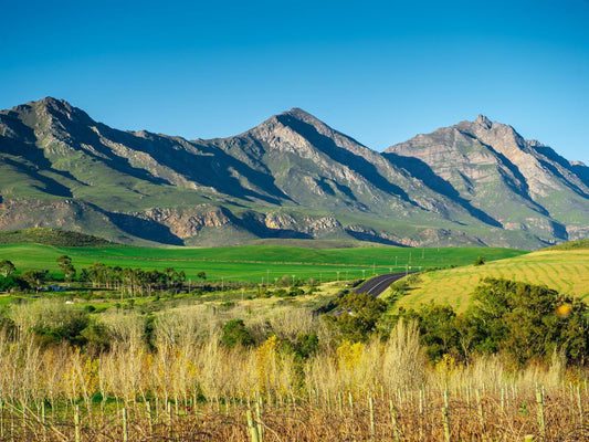 Mardouw Country House Swellendam Western Cape South Africa Complementary Colors, Mountain, Nature