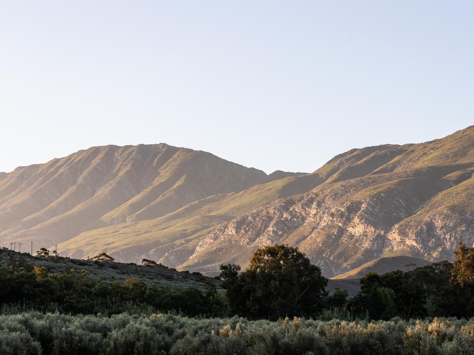 Mardouw Country House Swellendam Western Cape South Africa Desert, Nature, Sand