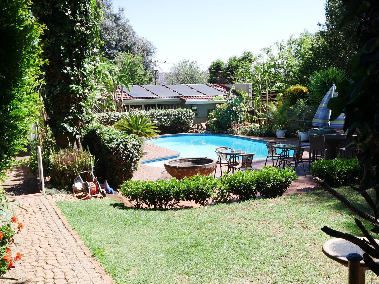 Margaret S Place Kensington Johannesburg Gauteng South Africa Palm Tree, Plant, Nature, Wood, Garden, Swimming Pool