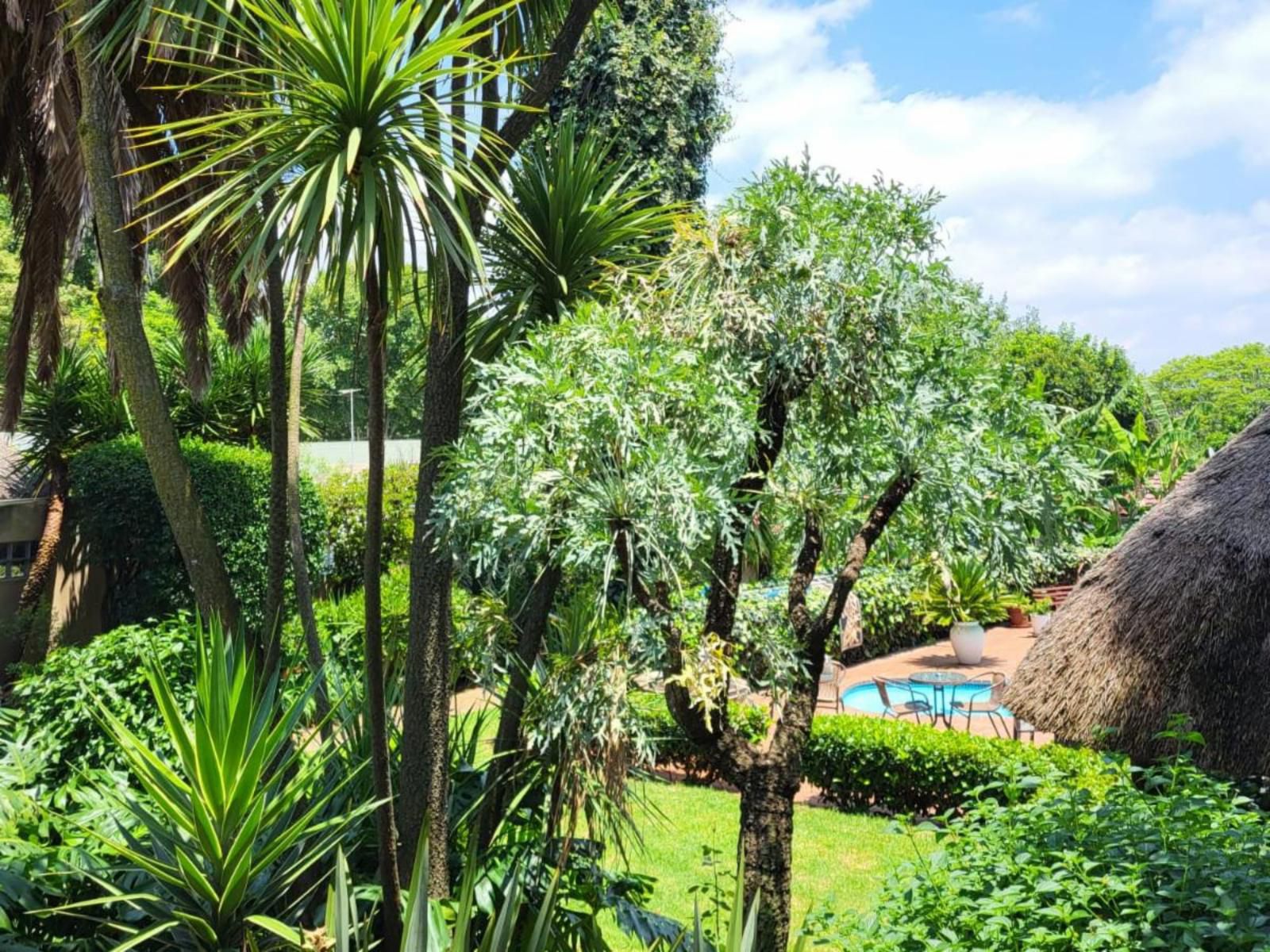 Margaret S Place Kensington Johannesburg Gauteng South Africa Palm Tree, Plant, Nature, Wood, Garden