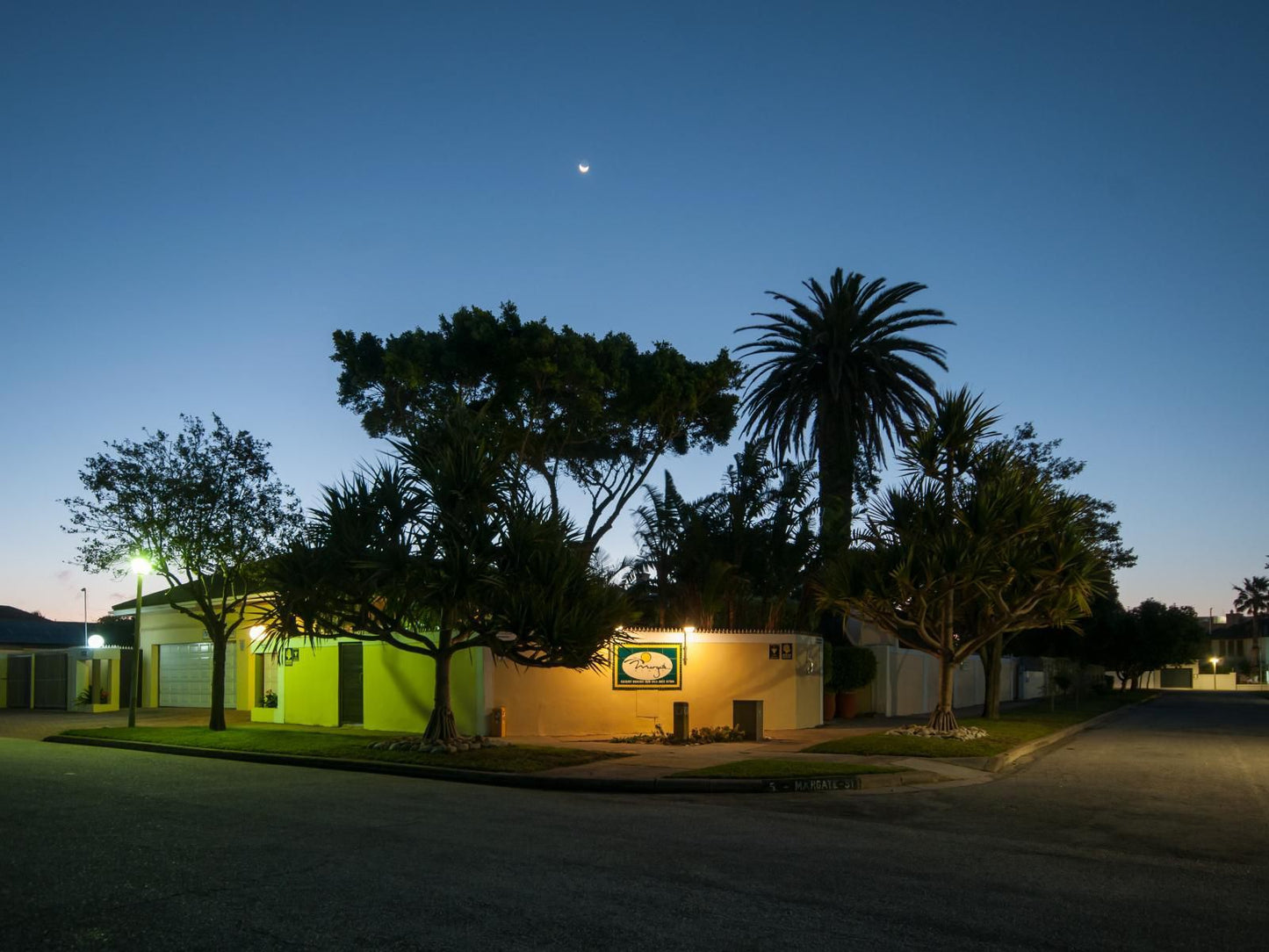 Margate Place Guest House Summerstrand Port Elizabeth Eastern Cape South Africa Palm Tree, Plant, Nature, Wood, Moon