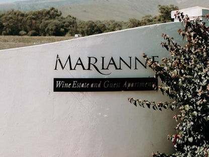 Marianne Wine Estate Stellenbosch Western Cape South Africa Unsaturated, Sign, Text, Wine, Drink, Wine Glass, Glass, Drinking Accessoire