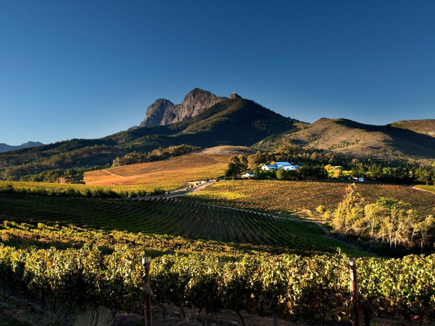 Marianne Wine Estate Stellenbosch Western Cape South Africa Complementary Colors, Mountain, Nature