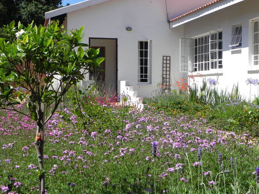 Marianne S Bandb Riviera Pretoria Tshwane Gauteng South Africa House, Building, Architecture, Plant, Nature, Garden