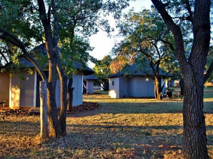 Marico Guest Lodge Groot Marico North West Province South Africa Tree, Plant, Nature, Wood