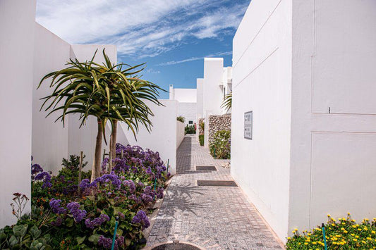 Marina Village 816 Club Mykonos Langebaan Western Cape South Africa House, Building, Architecture, Palm Tree, Plant, Nature, Wood